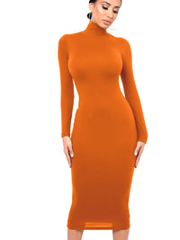 Robe Midi Moulante à Col Roulé et Manches Longues
