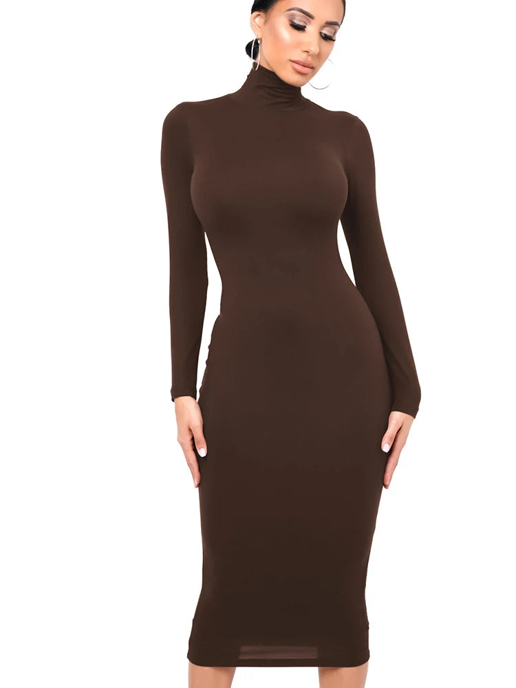 Robe Midi Moulante à Col Roulé et Manches Longues